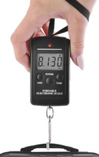 Digital Hanging Hook Scale — LCD Display, Up to 40kg